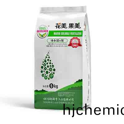 蘤美菓(guo)美(mei)