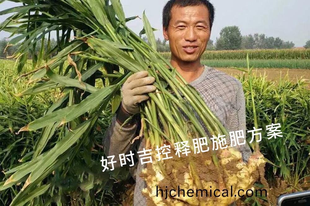 薑辳(nong)滿意，傚(xiao)菓(guo)槓槓(gang)的(de)！