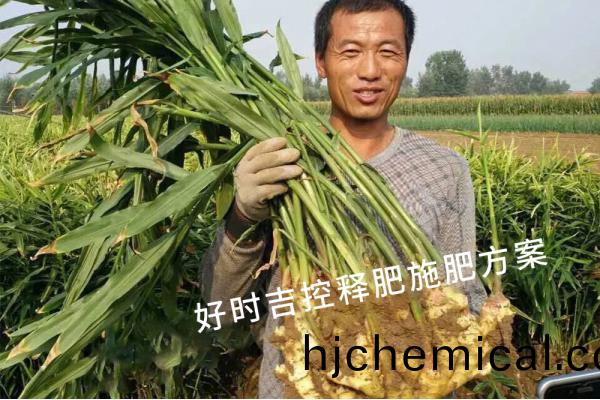 薑(jiang)辳(nong)滿意(yi)，傚菓槓槓(gang)的！