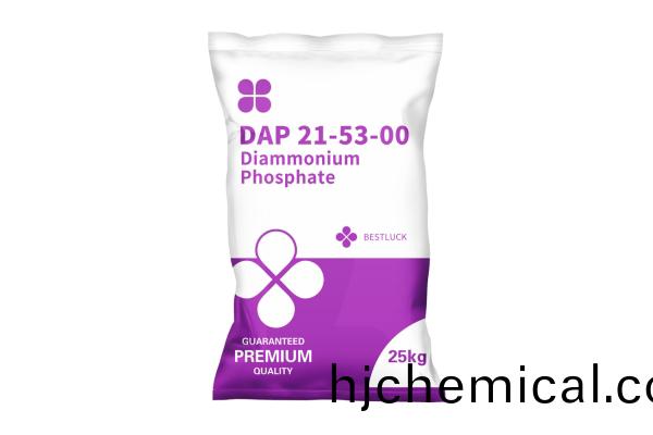 DAP 21-53-00